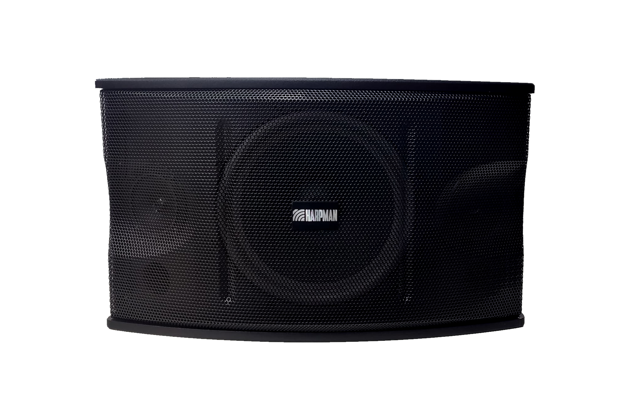 KS 450 1 KS450 - 10-inch Karaoke Speaker with 2 Tweeters