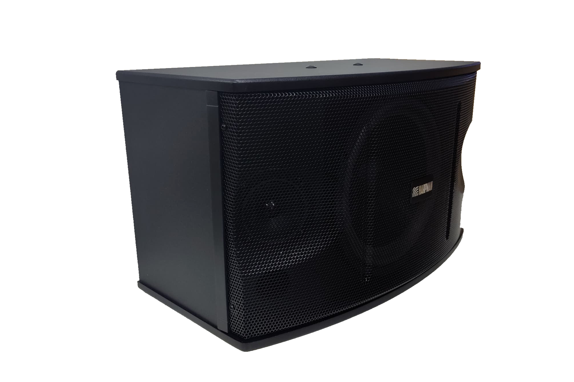 KS 450 2 KS450 - 10-inch Karaoke Speaker with 2 Tweeters