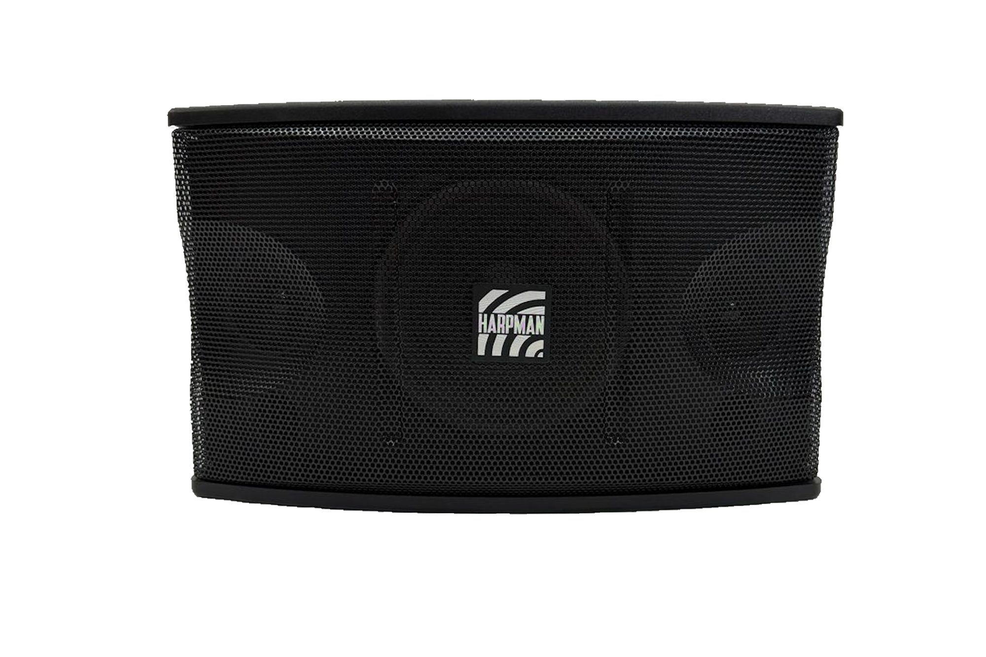 KS350 1 KS350 - 8-inch Karaoke Speaker with 2 Tweeters