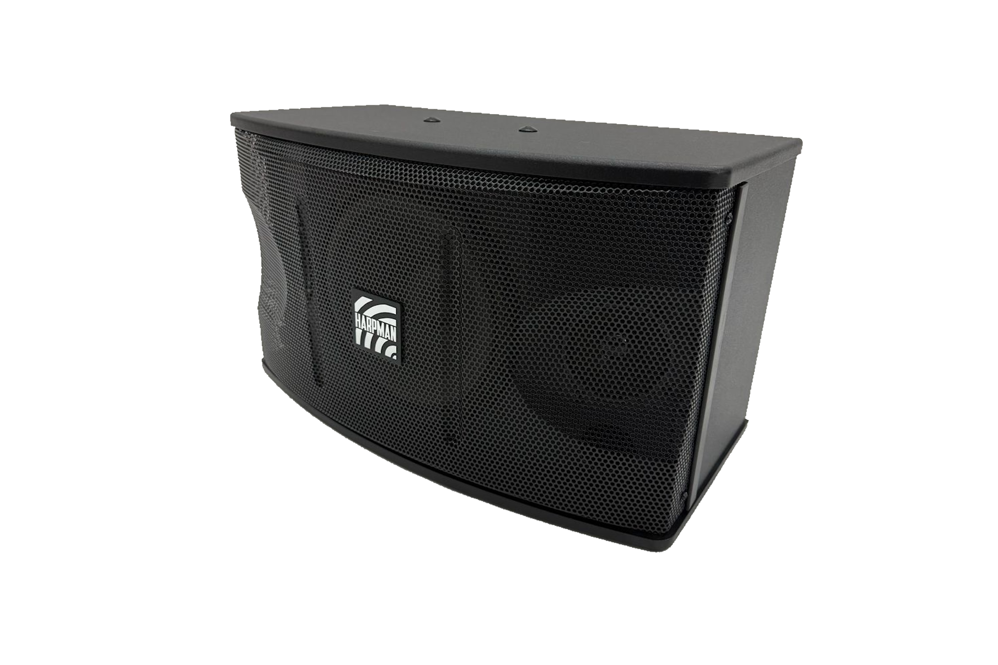 KS350 2 KS350 - 8-inch Karaoke Speaker with 2 Tweeters